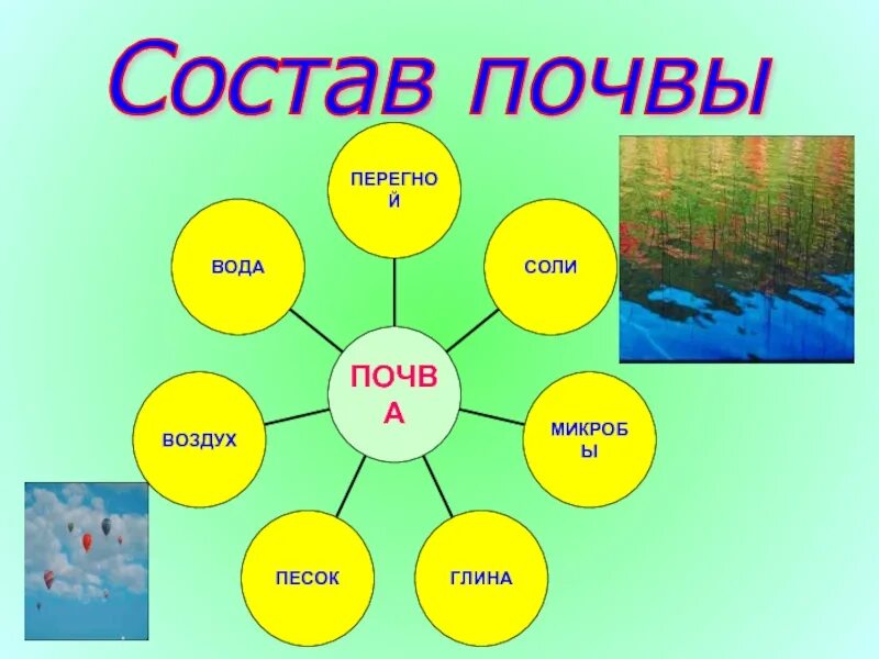 Что не входит в состав почвы. Из чего состоит почва 3 класс. Состав почвы плакат для ДОУ