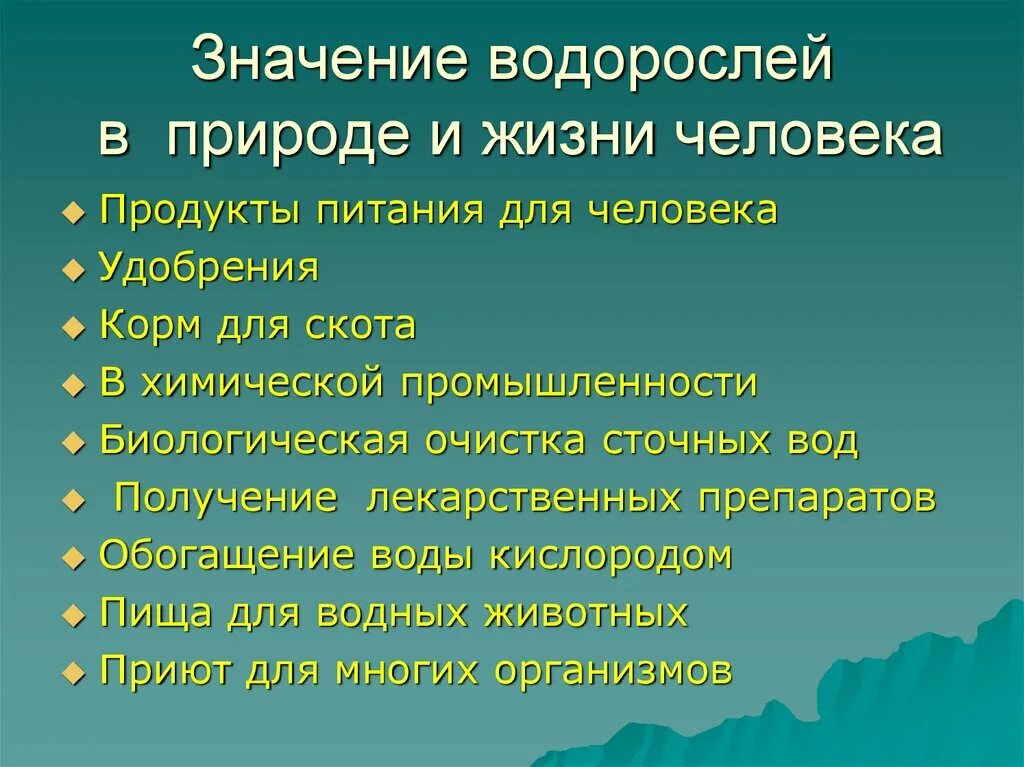 5 значений водорослей. Значение водорослей в природе. Значение водорослей в природе и жизни человека. Значение водорослей в жизни человека. Роль водорослей в жизни человека.