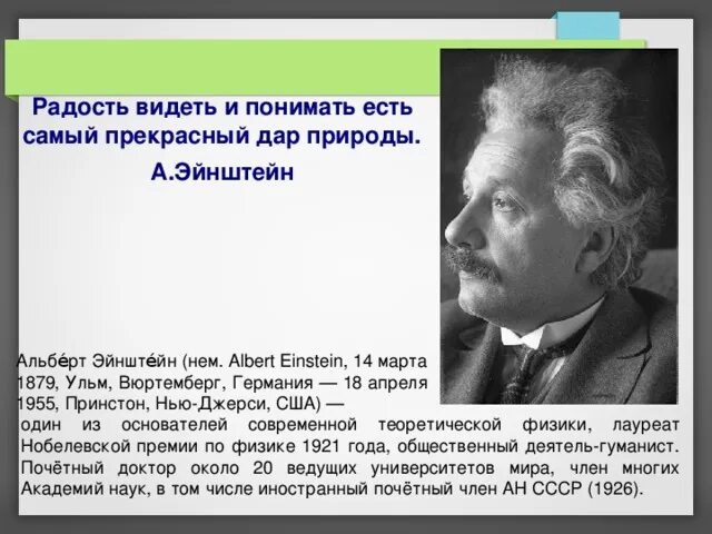 Как умер эйнштейн. Эйнштейн причина смерти. Эйнштейн природа реальности анализ.