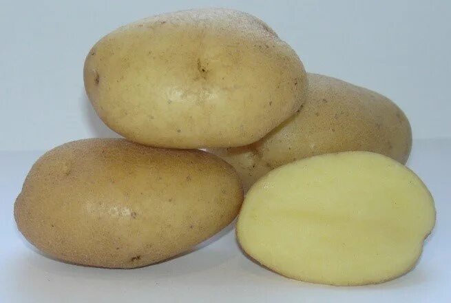 Картофель семенной юбилей Жукова. Картофель семенной великан/ суперэлита. Картофель семенной Вымпел. Сорт картофеля Вымпел.