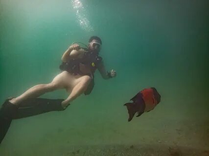 100th dive nude