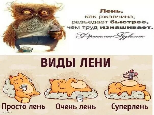 Лене лень и лене лень. Лень. все виды лени. лень виды. лень картинки смешные.