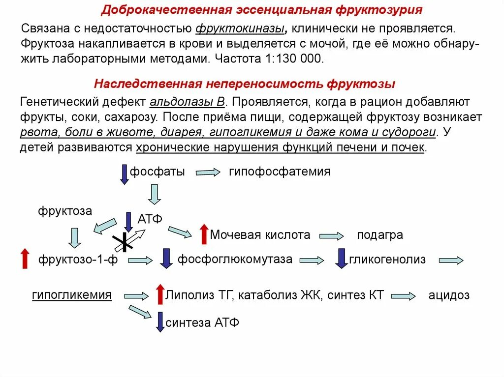 Наследственная непереносимость фруктозы биохимия. Нарушение обмена фруктозы биохимия. Причины фруктозурии биохимия. Врожденная непереносимость фруктозы биохимия. Нарушения фруктозы