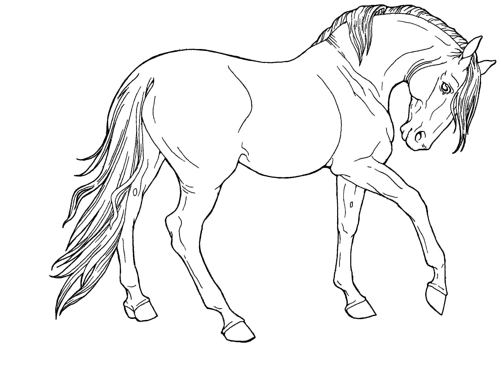 Рисунок лошади для раскрашивания. Лошадка раскраска для детей. Распечатать коня. Конь раскраска для детей. Раскраска.