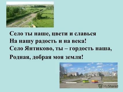 Ти сел