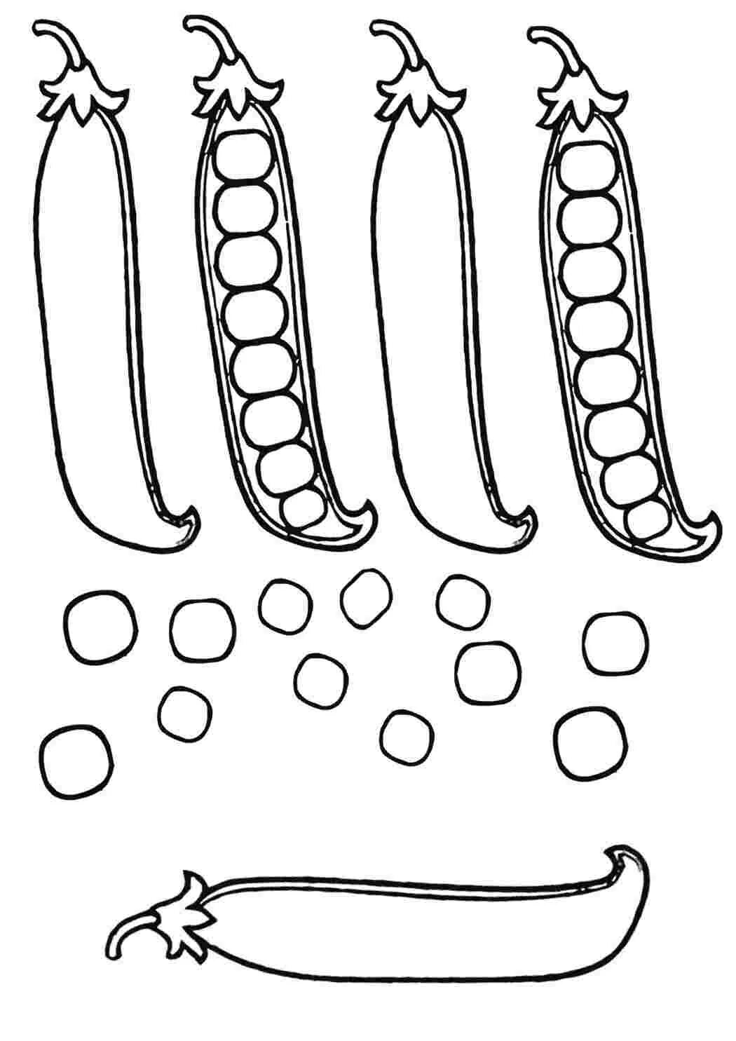 Горох раскраска. Стручок гороха раскраска. Зеленый горошек раскраска. Горох раскраска для детей. Горох карандашом