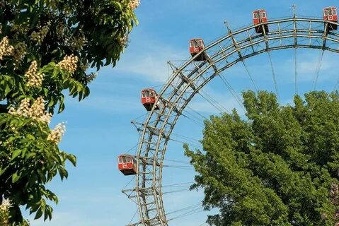 Wheel see