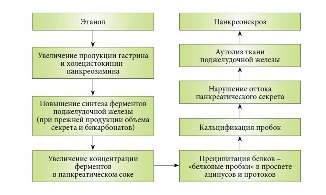 Панкреатит действие. Острый алкогольный панкреатит патогенез. Патогенез хронического панкреатита схема. Патогенез хронического алкогольного панкреатита. Алкогольный хронический панкреатит патогенез развития.