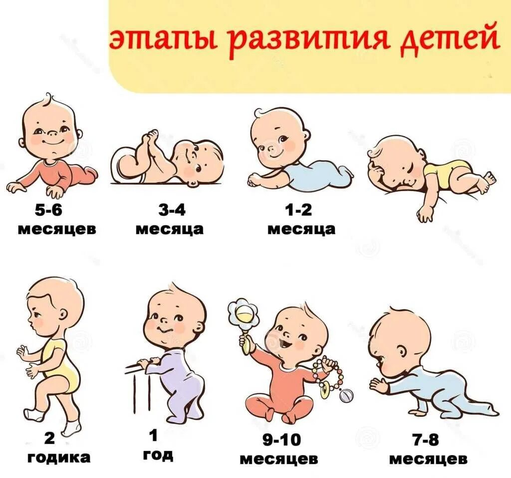 Развитие ребенка до года. В каком возрасте ребенок начинает расти. Пособие при рождении ребенка в 2023. В каком возрасте ребенок начинает расти. Когда дети начинают ползать.