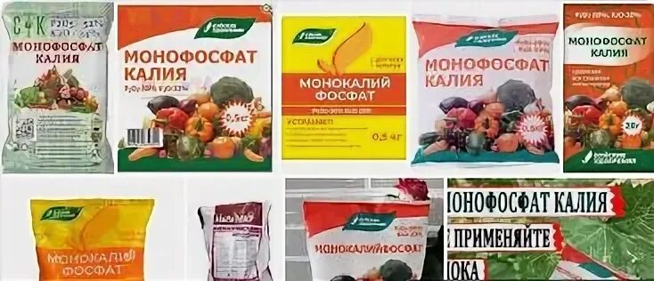 Можно ли подкормить рассаду перца монофосфатом калия