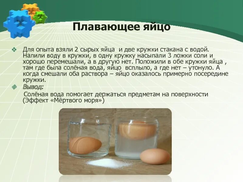 Плотность яйца в пресной воде. Эксперимент с яйцом и соленой водой. Опыт с солью и яйцом. Опыт с водой и яйцом и солью. Опыт с яйцом и соленой водой.