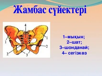 Утяшева колготки киген