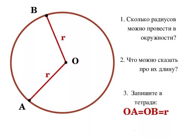 Радиус первого. Сколько радиусов у окружности. Что можно провести в окружности. Сколько радиусов можно провести в окружности. Сколько радиусов в круге.