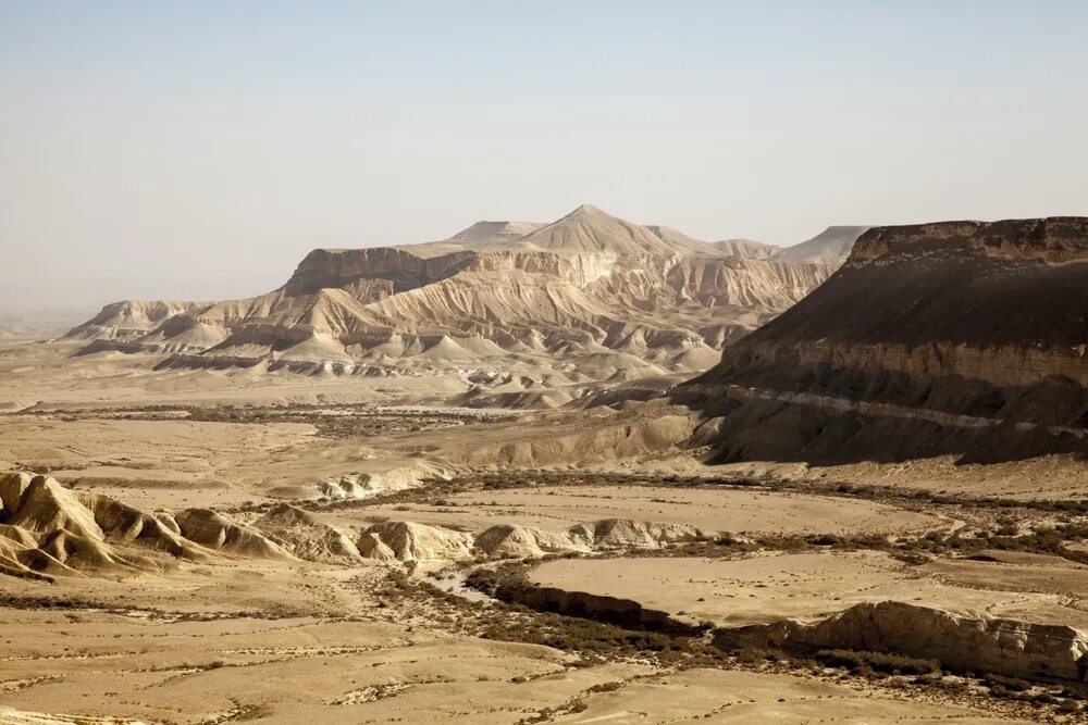 Царь в пустыне негев. Беэр шева пустыня негев. Горы негев. Площадь пустыни негев. Иудейская пустыня негев.