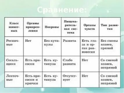 Разнообразие плоских червей 7 класс