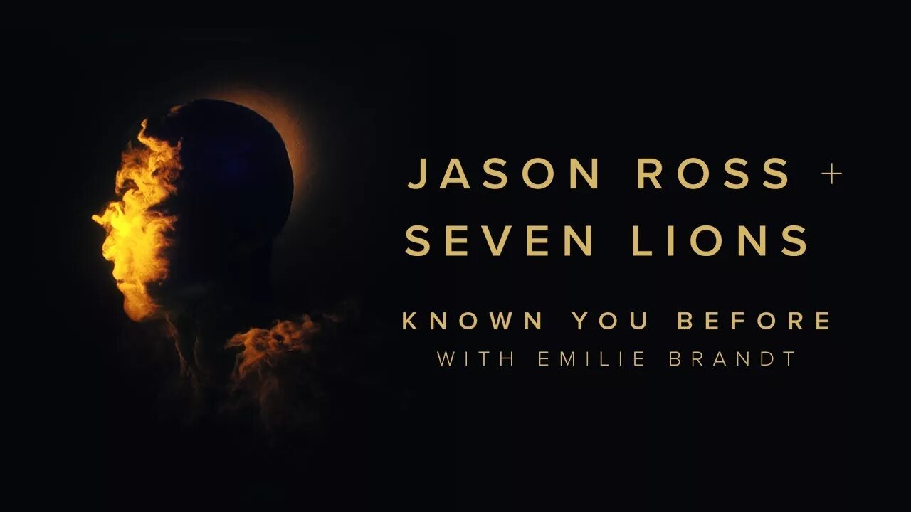 Jason Ross 1000 faces. Jason Ross Shelter Жанр. Seven Lions &amp; Jason Ross – Orpheus. Севен росс