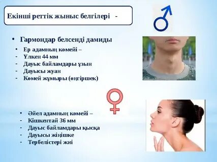 Ең алдымен жасырын камера