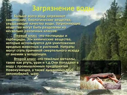 Почему необходима активная деятельность по природы