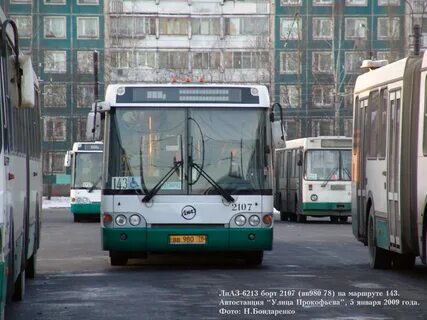 161 автобус спб