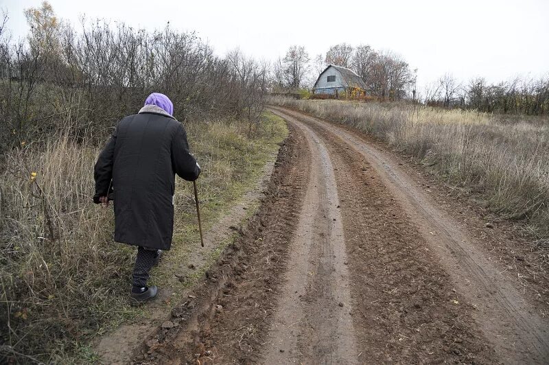 Деревня стала пустеть давно егэ проблема. Камышовка деревня. деревня камышовка ленинградская область. курская область деревня камышовка.