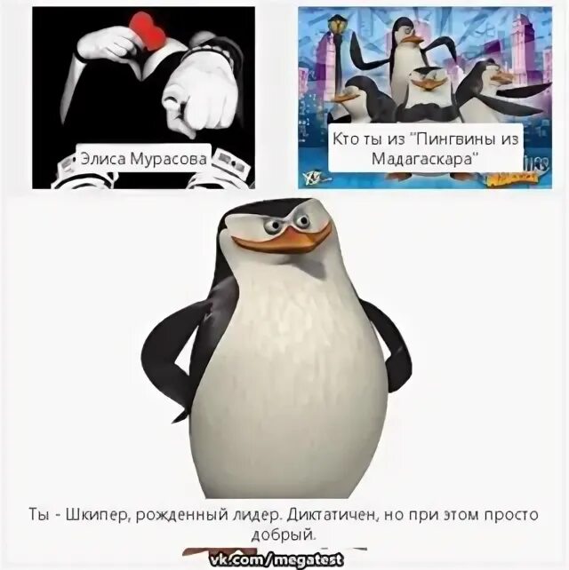 У какого пингвина всегда есть действие. Мемы с пингвинами. Пингвин Мем. Мемы про пингвинов и пингвинят. Шкипер Пингвин Мем.
