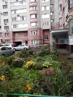 Маяковского 2 1