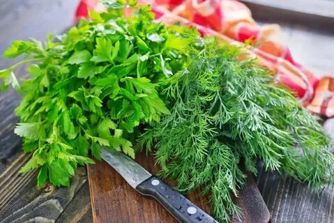 Укроп и петрушка рецепты