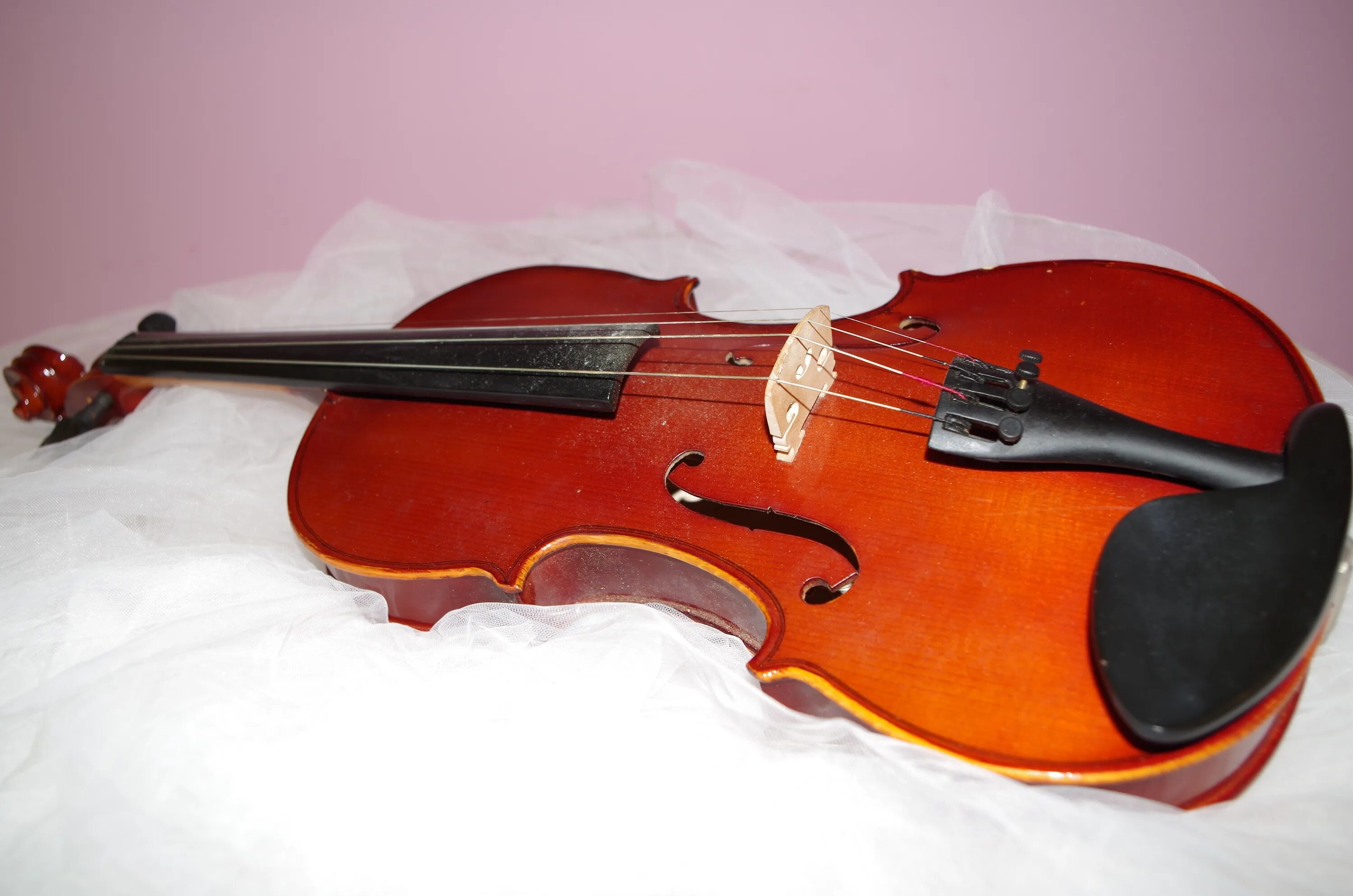 Violin скрипка. Виолончель 1/2. Скрипка. Скрипка музыкальный инструмент.