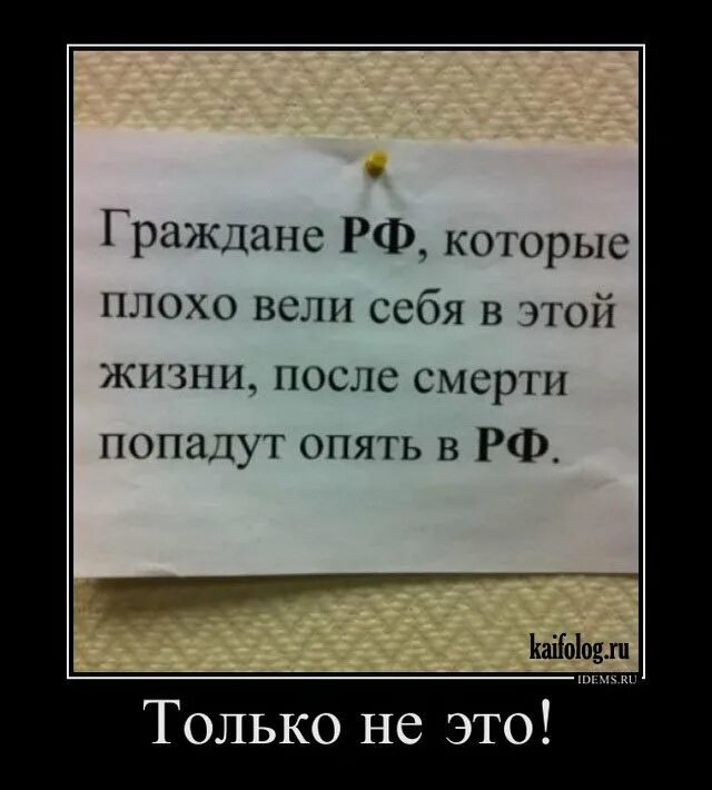 Граждане РФ которые плохо вели себя. Граждане РФ которые плохо вели себя в этой жизни. Граждане России которые плохо себя вели. Жители РФ которые плохо себя вели.