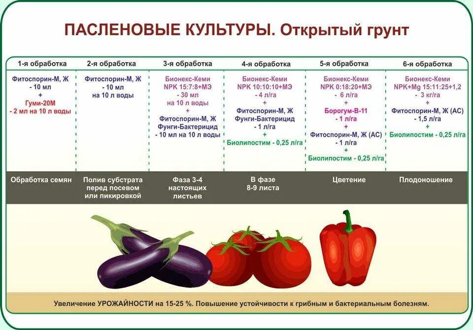 Человек разводит овощные культуры семейства пасленовые