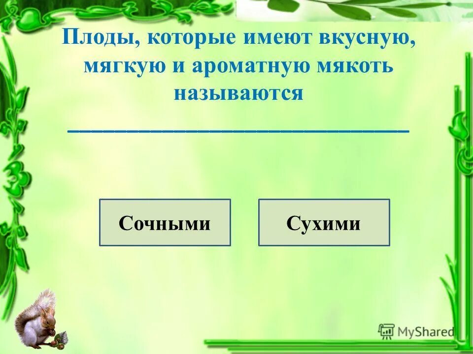 Типы плодов егэ биология. Тест по биологии по теме плоды. Тестирование по биологии 6 класс по теме плод. Тест на тему плоды. Плоды задание.
