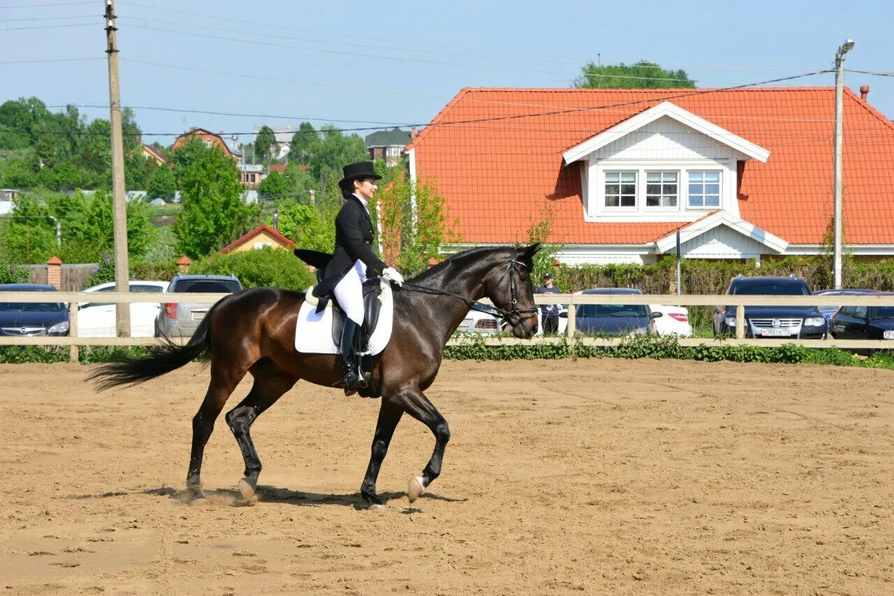 Усадьба марии воейковой посёлок лопандино. Альсина димитреску. Деревня графиня. Село пионерское усадьба графини монжене. Усадьба графини монжене.