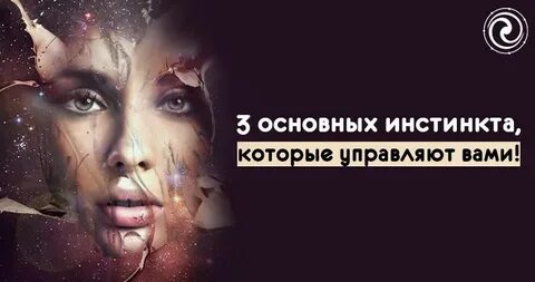 Первый инстинкт