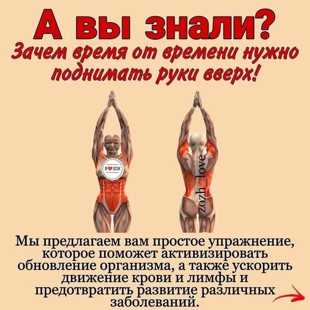 Подымешь почему ешь