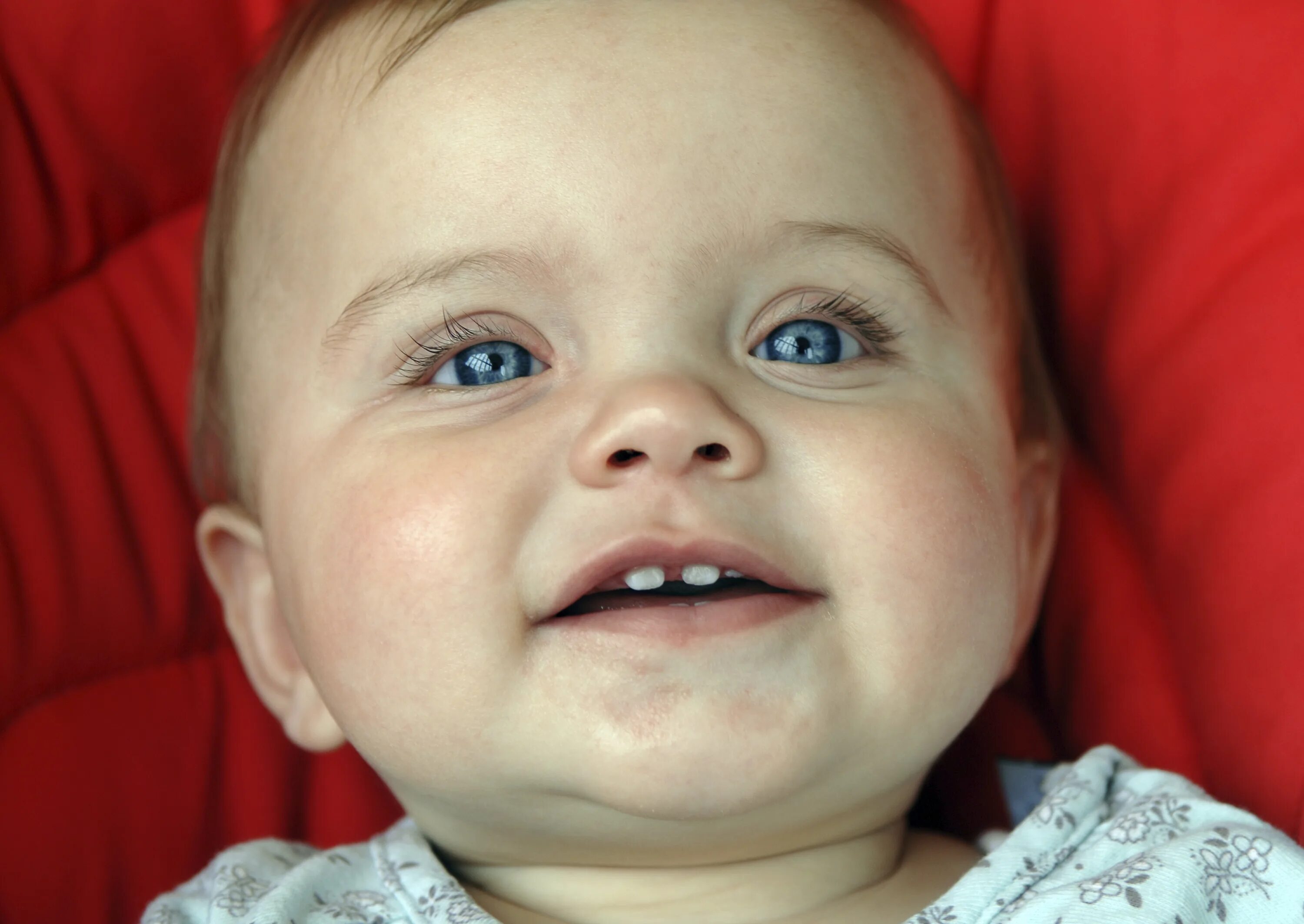 Диастема зубов щербинка. Почему у ребенка между зубами. Красивые передние зубы у ребёнка. Передние зубы у грудничков. Диастема зубов щербинка.