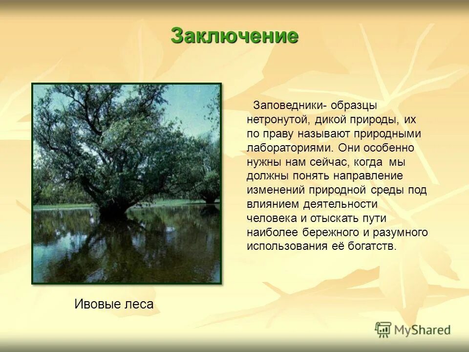 Астраханский заповедник основные объекты охраны. Заключение про заповедники. Вывод про заповедники. Заповедники презентация. Вывод о заповедниках России.