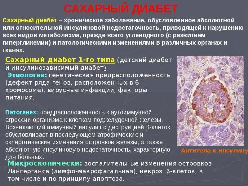 Сахарный диабет. Сахарный диабет кратко о болезни. Сахарный диабет возбудитель. Эндокринная система сахарный диабет.