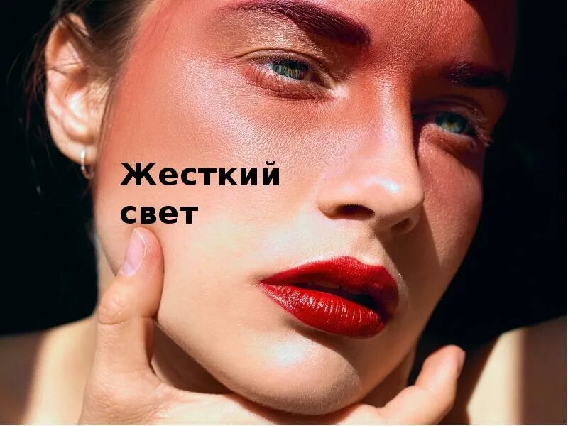 Света груба