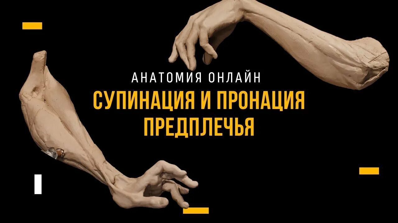 Пронация и супинация предплечья в локтевом суставе. Пронация плеча это. Пронация локтевого сустава. Пронация плеча в плечевом суставе. Пронация и супинация упражнения.