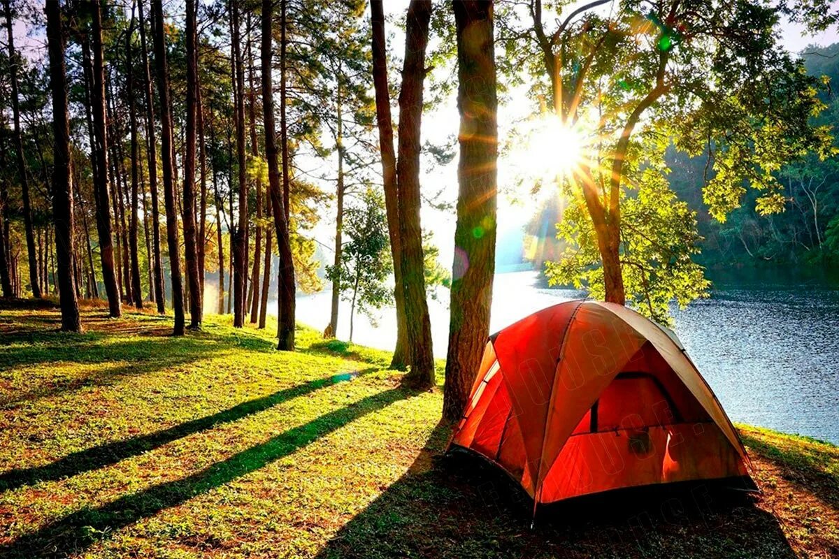 Camping 11 11. Торбеево озеро палаточный лагерь. Палаточный кемпинг Истра. Истринское водохранилище кемпинг с палатками. Истра кемпинг с палатками.