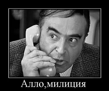 Алло полиция