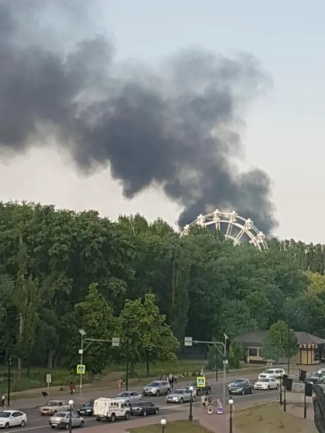 Сгорел парк. Пожар в Липецке в Нижнем парке. Пожар в Липецке 06012023. Пожар в Липецке вчера. Сгорел парк в Пушкине.