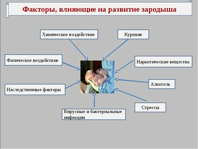 Негативные последствия беременности. Влияние факторов среды на зародыш. Факторы влияющие на эмбрион. Факторы влияющие на развитие эмбриона. Факторы влияющие на развитие зародыша.