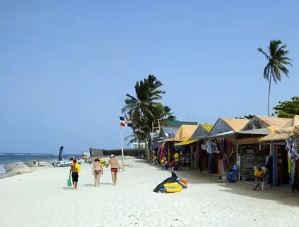 Sunsol punta blanca