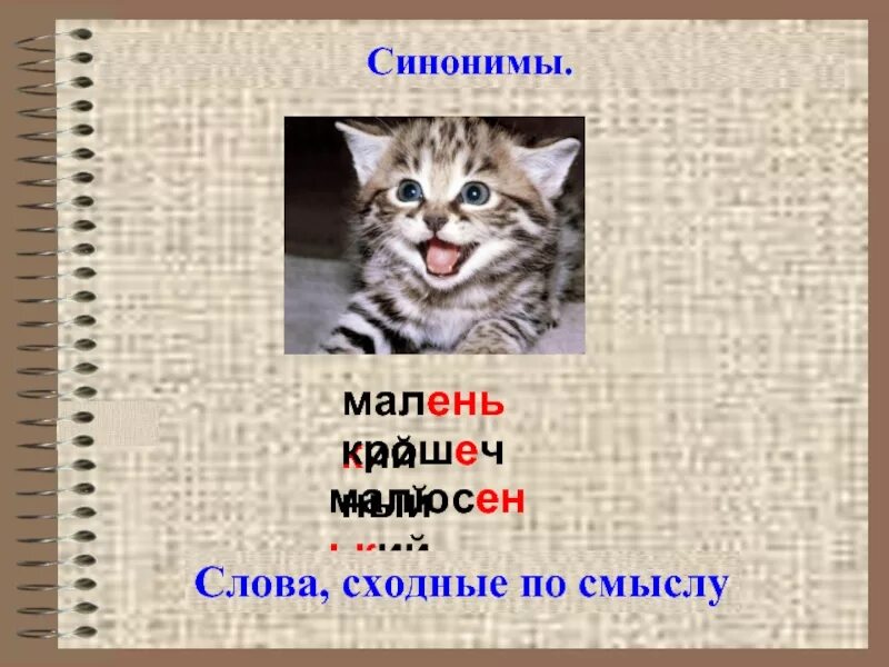 Формы слов кошка. Маленький синонимы. Синоним к слову маленький. Синонииуи к слову маленький. Синонимы к слову кошка.