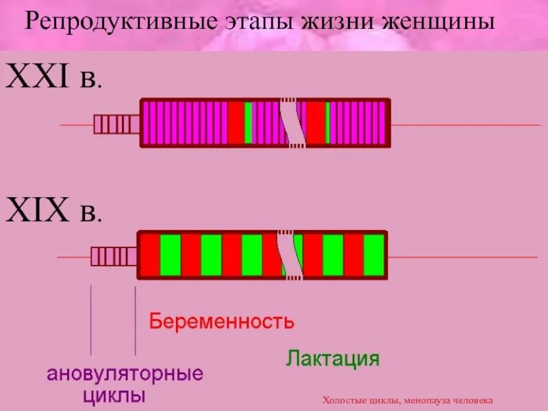 Квадранты домов в астрологии. Стадии жизни женщины. Жизнь от рождения до смерти. Циклы жизни женщины. Спираль развития человечества.