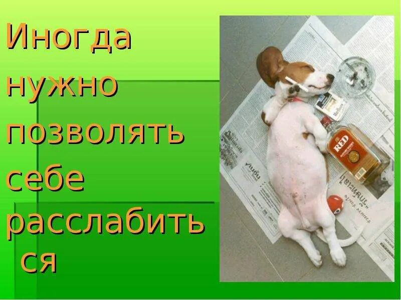 Не позволяю себе расслабиться. Иногда нужно расслабиться. картинки иногда нужно расслабиться. иногда надо позволить себе. позвольте себе расслабиться.