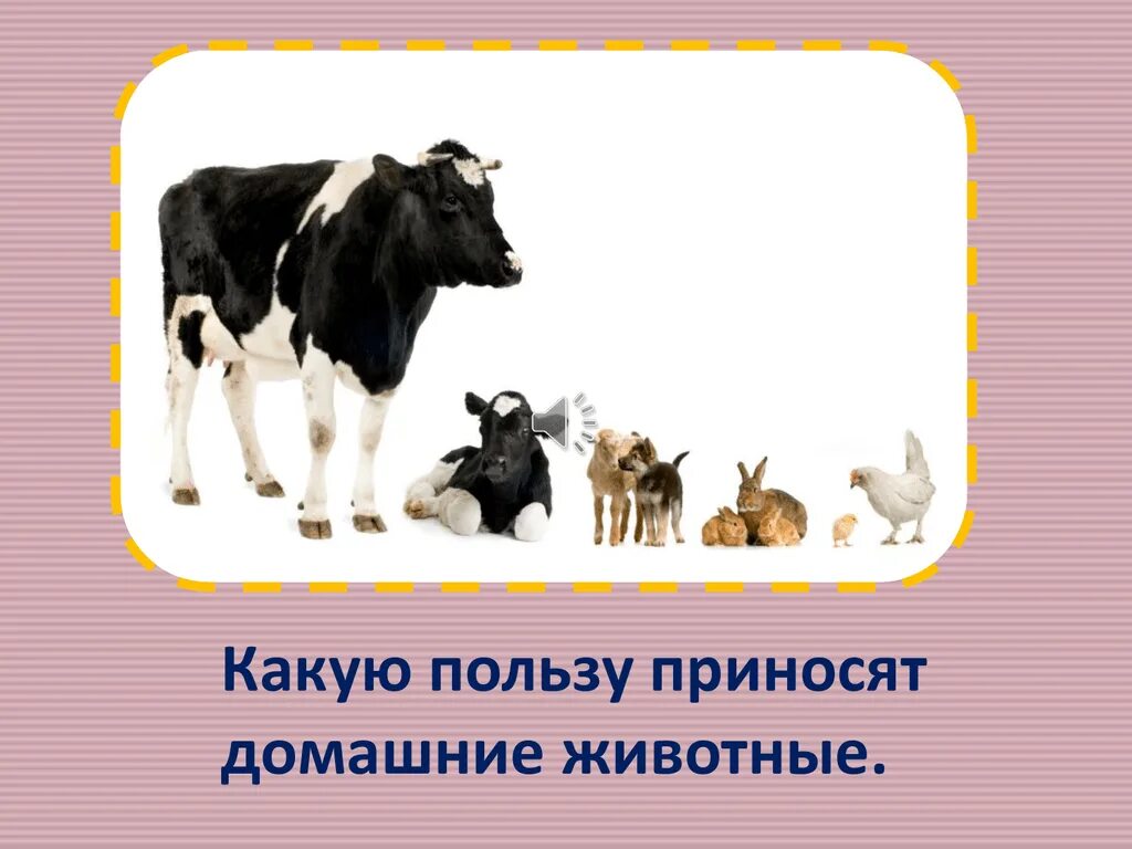 И какую пользу приносит тот. Какую пользу приносят домашние животные. какую пользу приносят домашние животные человеку.