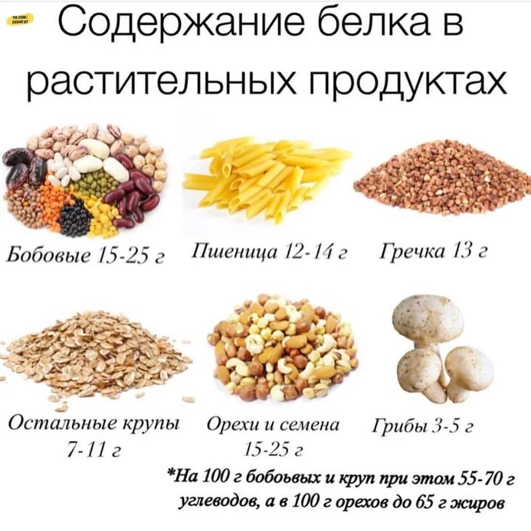 Нужен белок что съесть. Таблица белковой пищи растительного происхождения. Растительные продукты с высоким содержанием белка таблица. Продукты содержащие белок растительного происхождения таблица. Содержание белка в продуктах растительного происхождения.