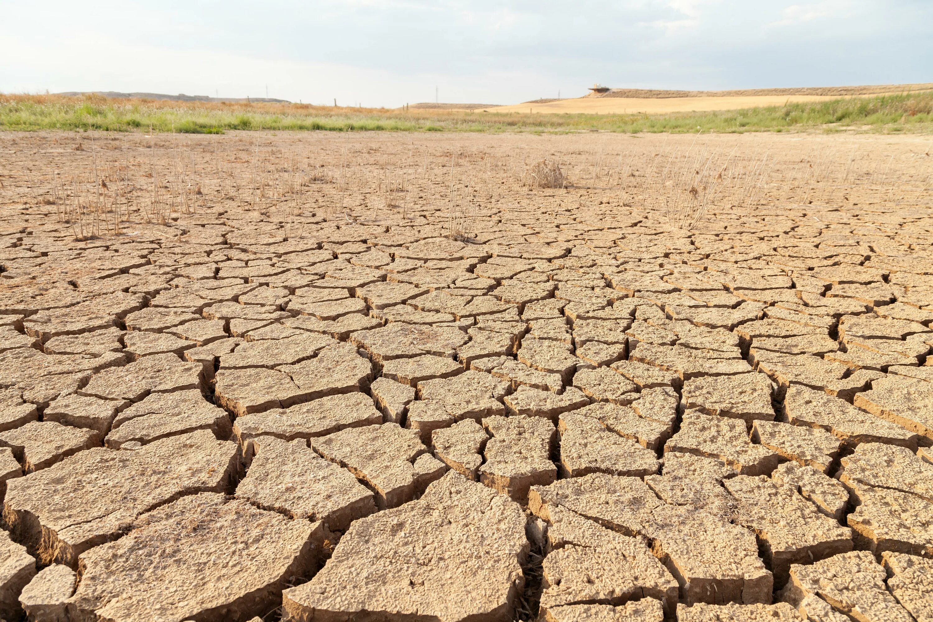 Период засухи. Засуха в Америке 2021. Опустынивание. Опустынивание сельскохозяйственных земель. Опустынивание и засоление почвы.